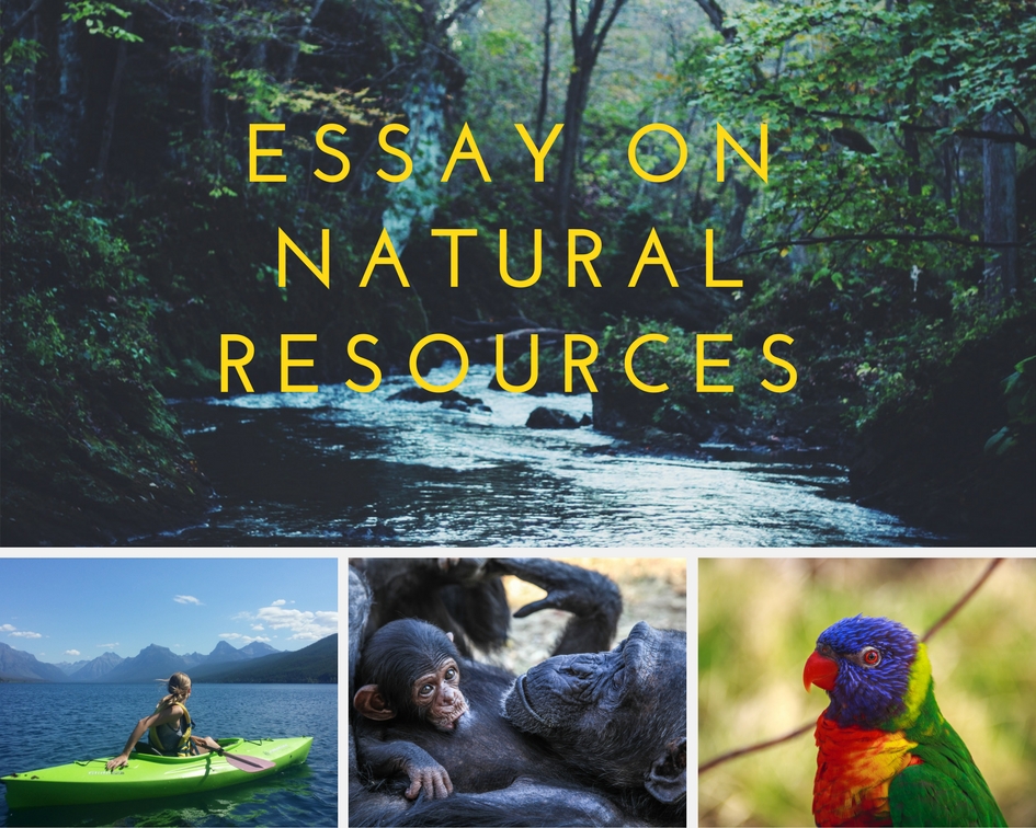 Renewable resources essay