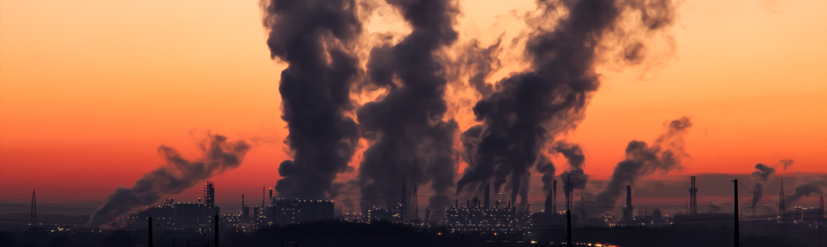 air pollution essay