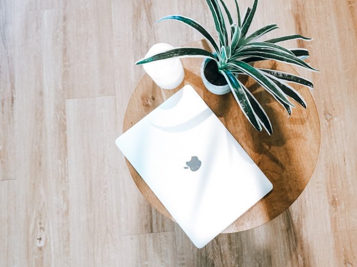 Notebook and green and green flowerpot.